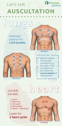 Let's talk auscultation!