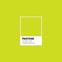 #Pantone Neon #EveningPrimrose #luxurydotcom