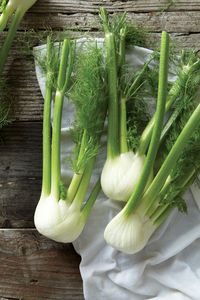 Fennel | Vegetarian Times