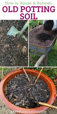 Can you reuse potting soil? Yes, and here’s how! How to repurpose your potting soil to add nutrients back into the soil naturally and save money. Container gardeners can reuse potting mix with our DIY potting soil recipes. This healthy soil mix will ensure the health of your container plants. You can reuse old potting soil with this method for potting new plants. Here is how to care for your used potting soil.