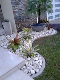 Ideia de jardim pequeno e simples para sua casa #jardim #garden #decoracao #decor #decoration #ideia #idea #diy #facavocemesmo #vasos #plantas #jardins #jardimdeinverno #jardinsdeinverno #jardinagem #jardimpequeno #jardinspequenos #jardimsimples