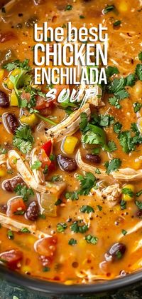 Chicken Enchilada Soup [45 Minutes] – Chasety