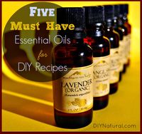 How To Use Essential Oils - The Top Oils You Need and Many Recipes