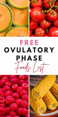 Elevate your cycle syncing routine with our guide to ovulation supporting foods. Discover top ovulatory phase foods and get inspired with nutritious ovulatory phase meals that support your body's natural rhythm. Enhance your energy and well-being during the ovulatory phase with delicious, balanced meal ideas!