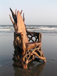 Incredible Driftwood Sculptures by Jeff Uitto