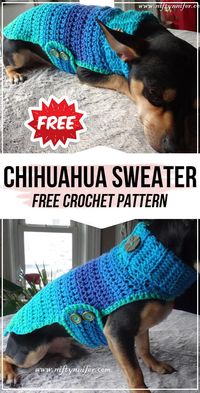 Easy and Funny Chihuahua Sweater Crochet Project - Click to Get the Crochet Pattern