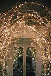 twinkle lights