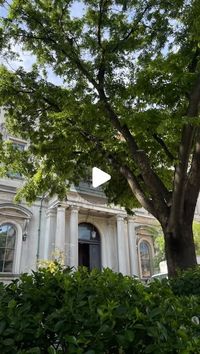 Emily Turner | Baltimore REALTOR® 🏡 on Instagram: "Did you know that one of the world’s most beautiful libraries is located right here in Baltimore? 

This “Cathedral of Books” is located in Mount Vernon, a neighborhood known for its ornate architecture. The George Peabody Library features a 61-foot tall atrium with cast iron balconies overlooking a checkered marble floor. The library opened to the public in 1878 was intended to create a library “for the use of all persons who desire to consult it” and is still free to the public to this day. The library was once part of the Peabody Institute but now is part of Johns Hopkins University and is just as beautiful as it was when it was built. 

Have you been able to visit the Peabody Library yet?

Emily Turner, REALTOR®
The Baldwin & Griffin 