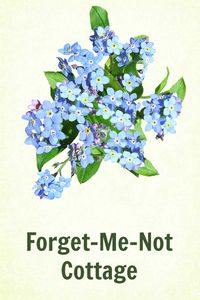 Forget-Me-Not