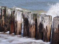 Strand Nieuwvliet | Zeeland op foto