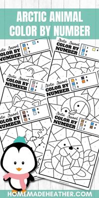 Arctic Animal Color By Number Printables