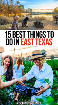 15 Best Things to do in East Texas | Best east texas vacations | East texas getaways | east texas things to do |East Texas vacation | Visiting East Texas |best East Texas trips | Best things to do in East Texas | East Texas trips | what to do in East Texas | Best East Texas vacations| best trips in East Texas | Pretty views in East Texas | Exploring East Texas | Best East Texas Trips | #thingstodoineasttexas #besteasttexastrips #Easttexastrips