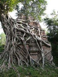 Sambo Prey kuk Temples in Cambodia, 7th Century.