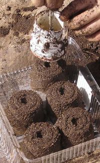 DIY Soil Blocks