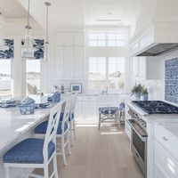 Coastal Kitchen with Blue and White Accents [Room Concept]