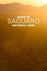 Experience the beauty of the Sonoran Desert at Saguaro National Park - 10 Things to Do in Saguaro National Park Tucson AZ.