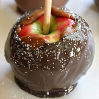 Chocolate Covered Salted Caramel Apples | GlutenFreeBaking.com