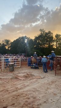 Rodeo, cowboys, western, rodeo life, ranching, country, horses, ropers