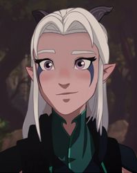 Rayla | The Dragon Prince Wiki | Fandom