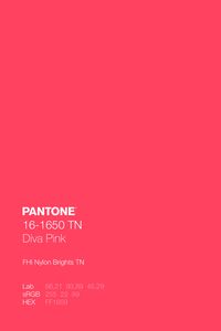 FHI Nylon Brights TN · Pantone