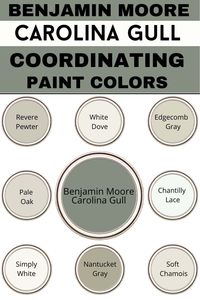 Benjamin Moore Carolina Gull Paint Color Review