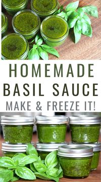 How to Make and Freeze Basil Sauce • a traditional life