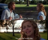 the notebook