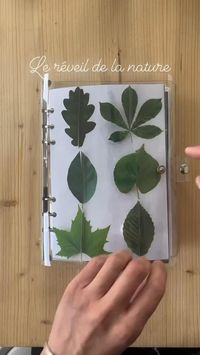 Quiet book de Printemps 2/3 ans et + Le réveil de la nature Voici ma dernière réalisation de quiet book pour A, vous y trouverez les pages suivantes : - Puzzle des formes des feuilles - Bouquet de fleurs de printemps - Germination, il s’agit ici de remettre dans l’ordre les étapes de la germination. (Possibilité d’autocorrection avec les gommettes) - Couleurs de fleurs de printemps, il s’agit de classer les fleurs par couleur. - Remettre les points sur la coccinelle - Puzzle séquentiel d