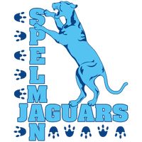 Spelman College Jaguars Color Codes Hex, RGB, and CMYK - Team Color Codes