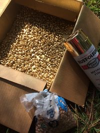 Spray pinto beans with gold spray paint. Cheap vase filler, fill, diy, simple, easy decor, decorations, center pieces