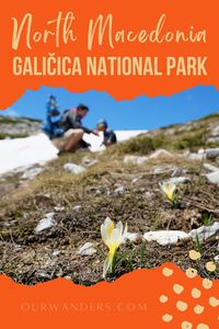 Your Guide To Galičica National Park, North Macedonia #balkans #galichica #europe #hiking