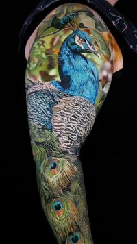 << Check out 100 Peacock Tattoos, Ideas and Meanings #tattoomenow #tattooideas #tattoodesigns #tattoos #peacock #peacocktattoo