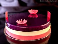 Blueberry Mousse Entremets - Illustrated recipe - Meilleur du Chef