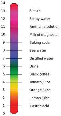 PH Scale - Category:pH - Wikimedia Commons