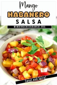 Kick up your snack game with this mango habanero salsa! Sweet mangoes meet fiery habaneros for a perfect balance. Ready in 15 minutes - great for last-minute gatherings. Delicious on fish tacos or with chips. Adjust the heat to your liking.