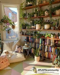 Nothing fills a wall better than shelves full of different plants of different sizes and shapes in different pots. A plain wall could literally become an art piece itself this way. No need for paintings or pictures... just plants.