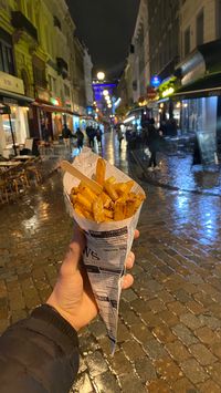 #fries #brussels