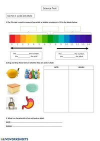 Acids and alkalis online worksheet for Grade 6. You can do the exercises online or download the worksheet as pdf.