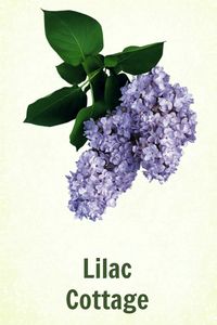 Lilac