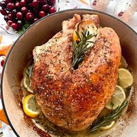 Dutch Oven Turkey Breast is the perfect alternative to roasting a whole turkey during the holidays. It's moist, tender, and loaded with flavor from the dry rub brine, fresh herbs, and juicy lemons!