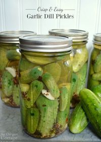 These easy garlic dill pickles are a refrigerator pickle with no processing. They stay crisp for up to a year and are a quick way to keep your harvest. LOVE! #pickling #picklerecipe #cucumbers #preservingfood #preservingtheharvest #anoregoncottage