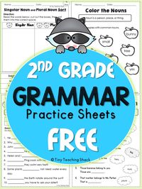 These handy no-prep practice sheets should help your students get extra practice on their grammar. This packet is made for second grade, but it is also suitable for advanced first graders or third graders who need extra help.