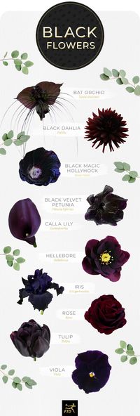 black flowers