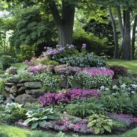 9 stunning flower bed designs around a tree in yard