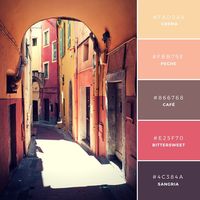 Build Your Brand: 20 Unique and Memorable Color Palettes to Inspire You – Design School