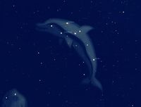 Delphinus is a small constellation in the Northern Celestial Hemisphere, close to the celestial equator. Its name is the Latin version for the Greek word for dolphin