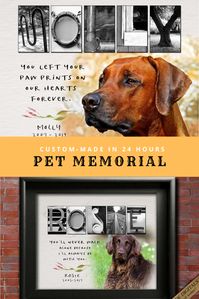 Sympathy for loss of Pet lover gifts Best dog memorial gift for owner ideas, Dog gifts for men dog gifts for women dog gift for friends dog portrait gift, Crazy dog lady, Pet saying gifts. 16 Dog quotes to choose from - your pet photo added. 24 hour custom made.