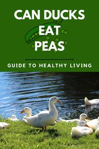 Peas are somewhat of an ideal food for ducks. It is very easy to imagine ducks eating peas. But is there anything to be concerned about? Can ducks eat peas? To have a deep dive into peas and their position in a duck’s diet, keep on reading!