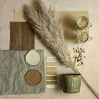 Brown and Green Color Combination: Home Decor Tips for Nature Lovers