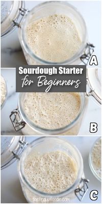 This Easy Sourdough Starter recipe creates gorgeously fluffy homemade products such as Sourdough Baguettes. Included are simple step by step instructions on how to start, feed and maintain Sourdough Starter that is perfect for beginners.  #SourdoughStarterForBeginners #MaintainingSourdoughStarter #EasySourdoughStarterRecipe #SourdoughBreadStarterRecipe #HowToCareForSourdoughStarter #HowToFeedSourdoughStarter #feedingSourdoughStarter